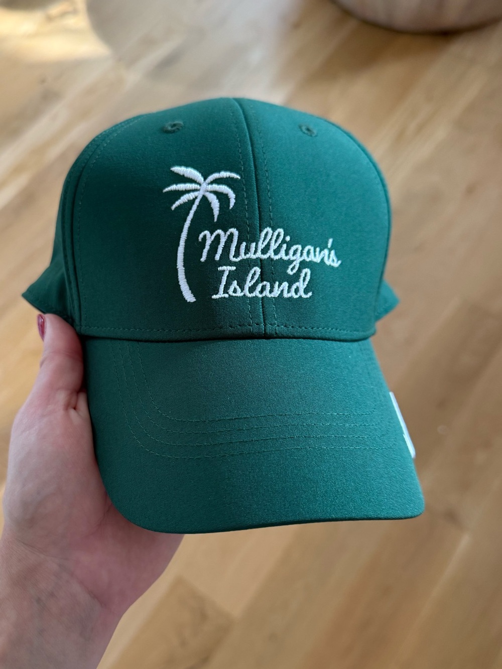 NWT Nike “Mulligan's Island” Green Athletic Adjustable Embroidered Golf Hat